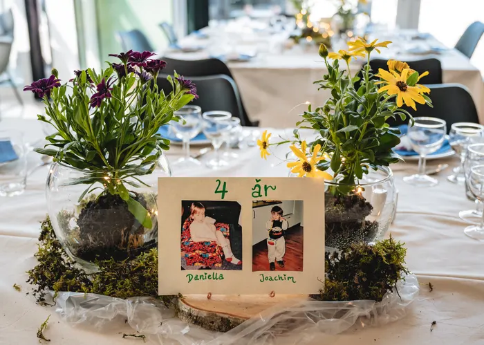 Wedding photograph 262